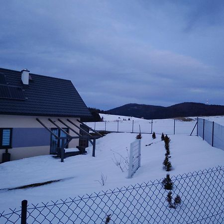 Blizejgorcow Villa Lubomierz  Exteriör bild