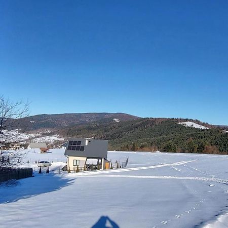 Blizejgorcow Villa Lubomierz  Exteriör bild