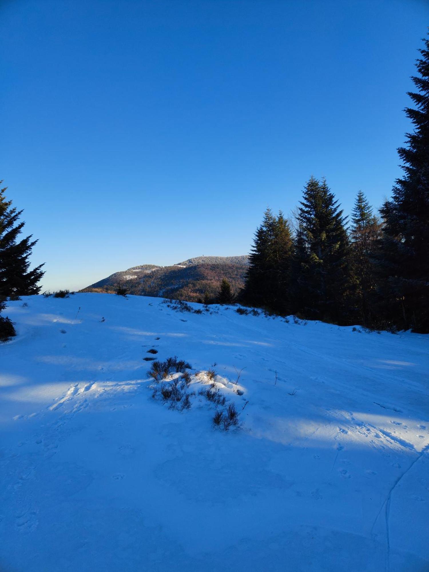 Blizejgorcow Villa Lubomierz  Exteriör bild